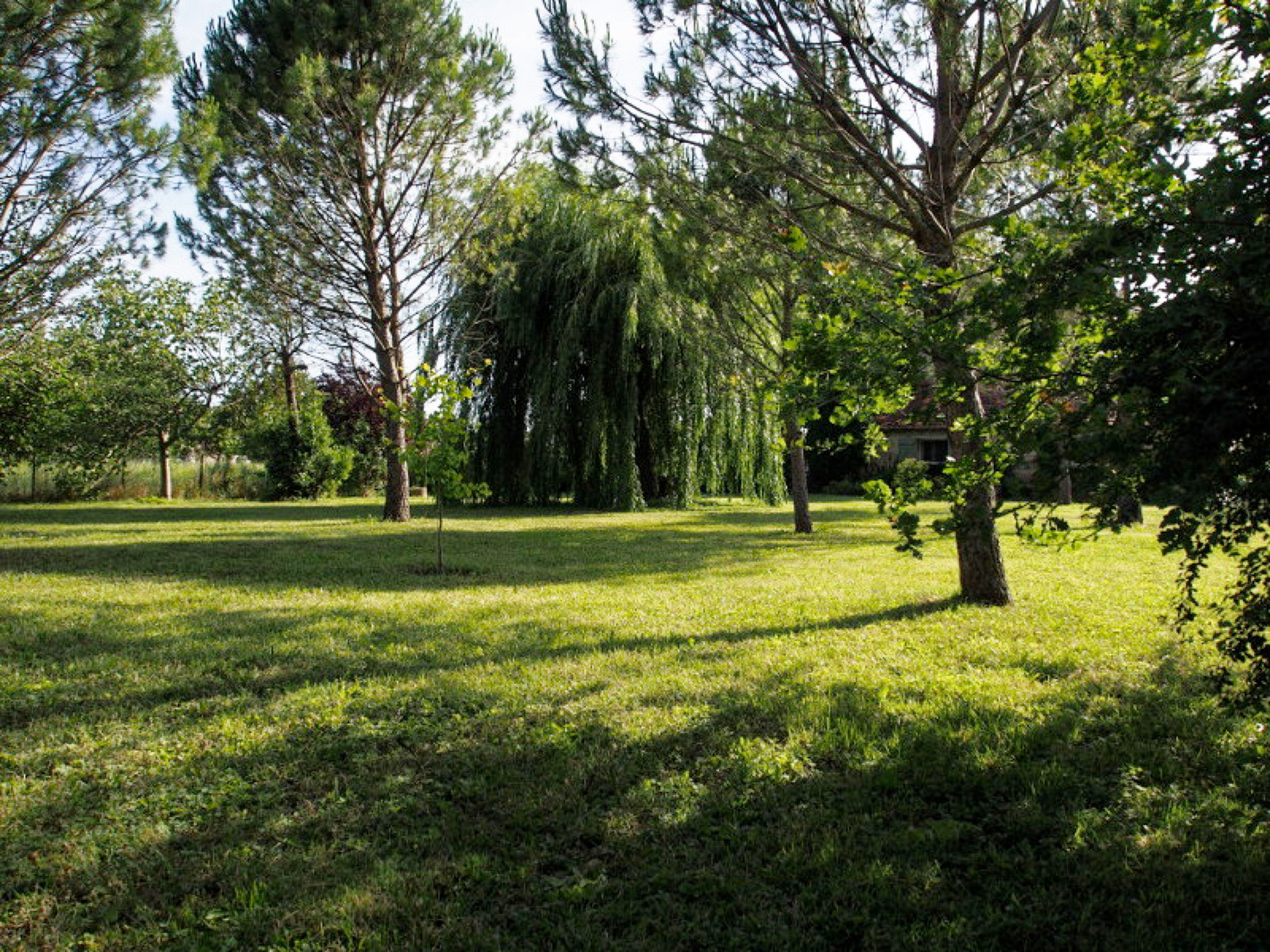 Parc arboré
