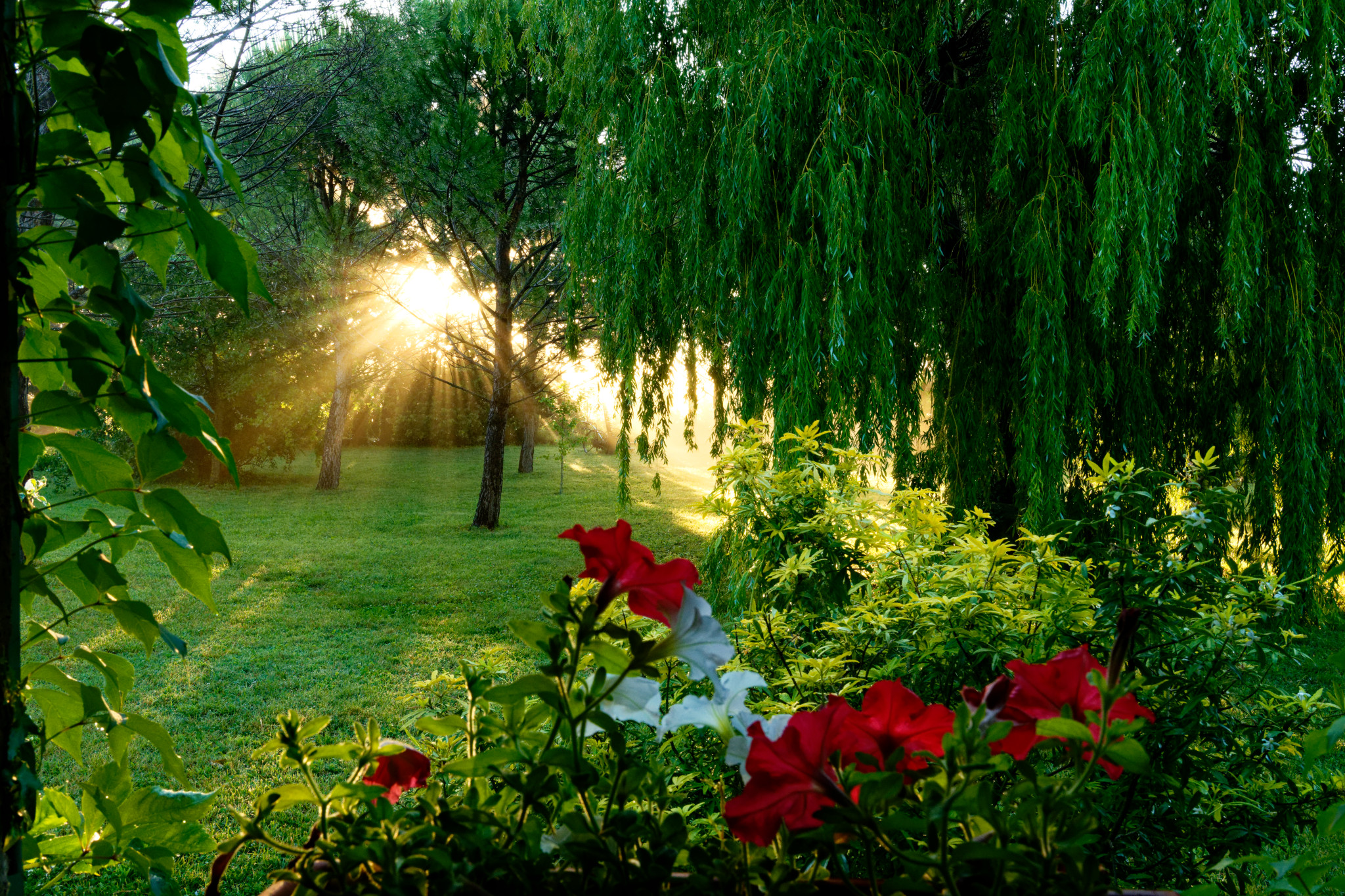 soleil levant devant le gite