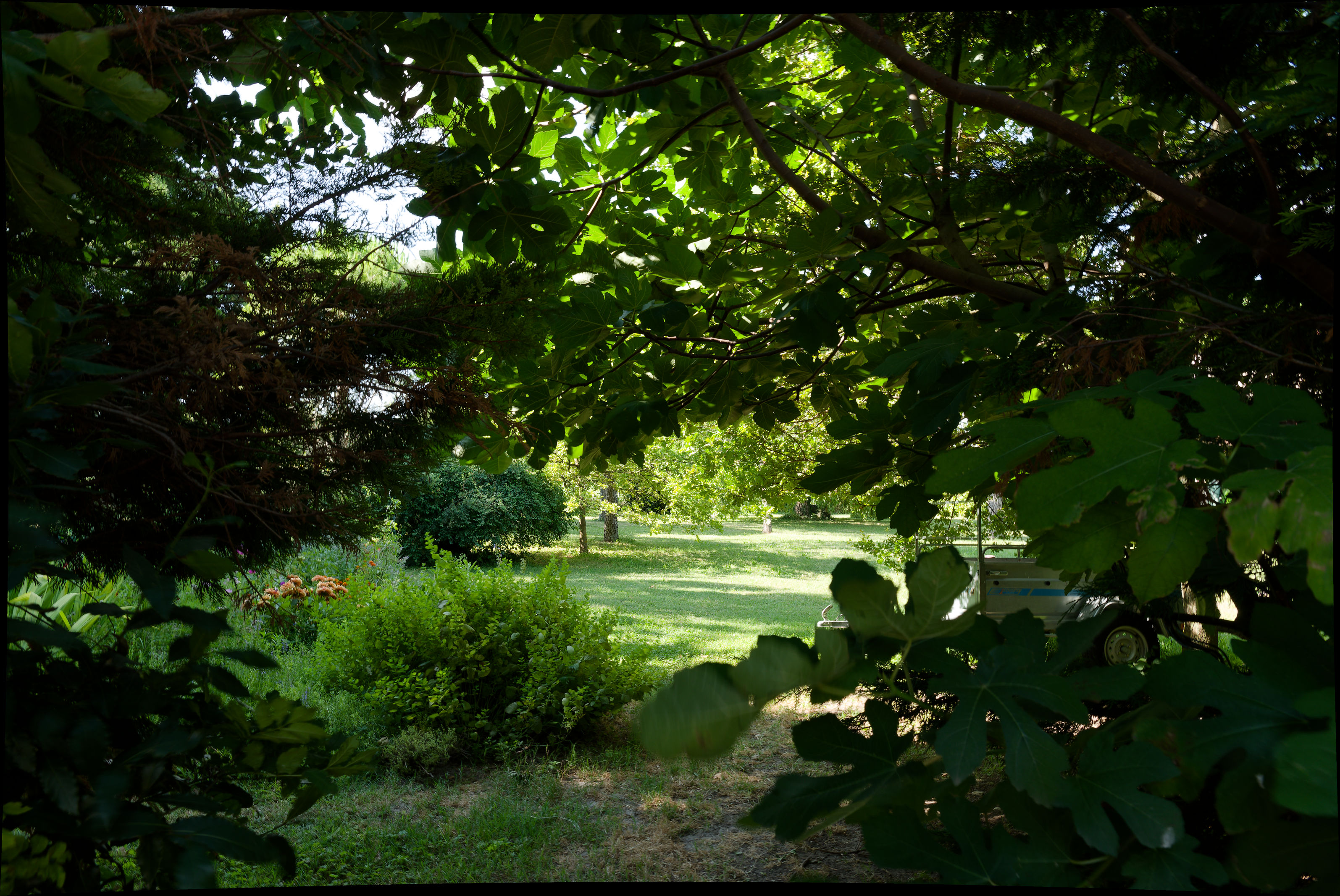Autre vue du parc
